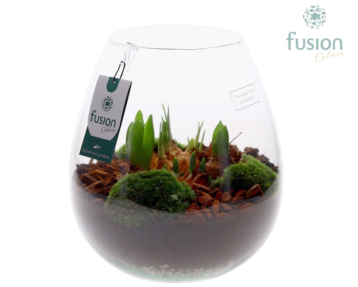 <h4>Green Bottle Abby Large met Bollen mix</h4>