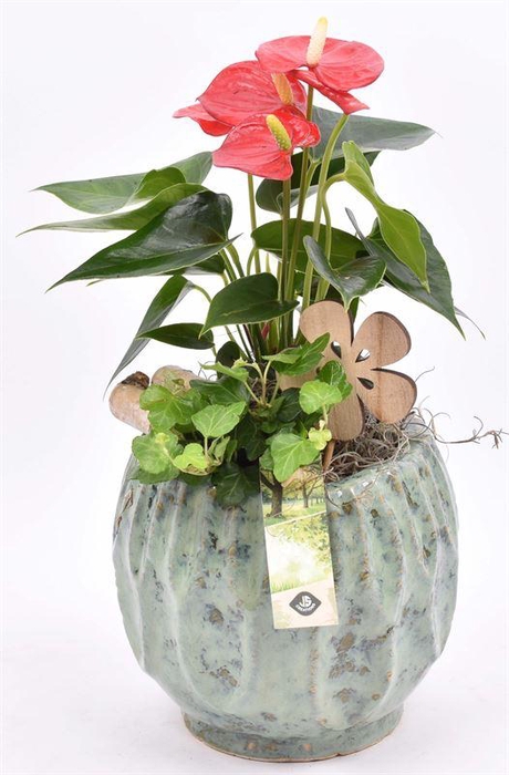 <h4>Keramiek pot gr/bl 14/18cm</h4>