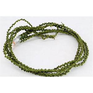 Caryota Strings