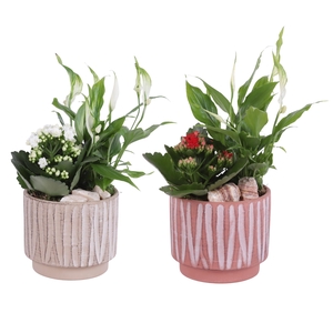 Yearround Arr. Indoor Ceramic Naturel Touch NT667 Ø14cm 2PP