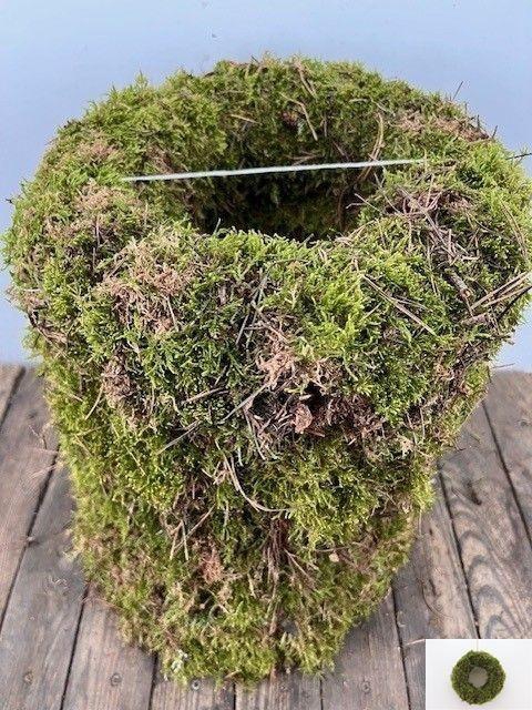 <h4>SIERKRANS H%</h4>