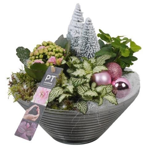 <h4>Opm Pt PTCHP3524 X-mas Pink Glas Schaal</h4>