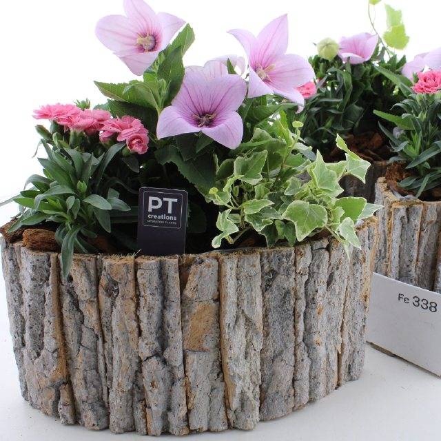 <h4>ARR TUINPLANTEN</h4>