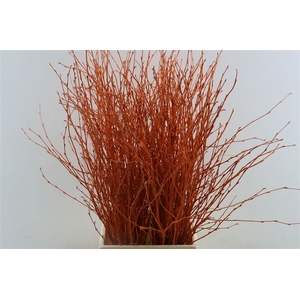 Berk 70cm Orange Pbs