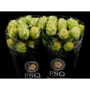 R Gr Green Antique Box