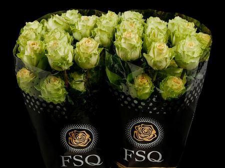 <h4>R Gr Green Antique Box</h4>