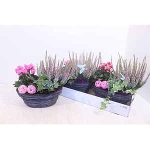 ARR TUINPLANTEN