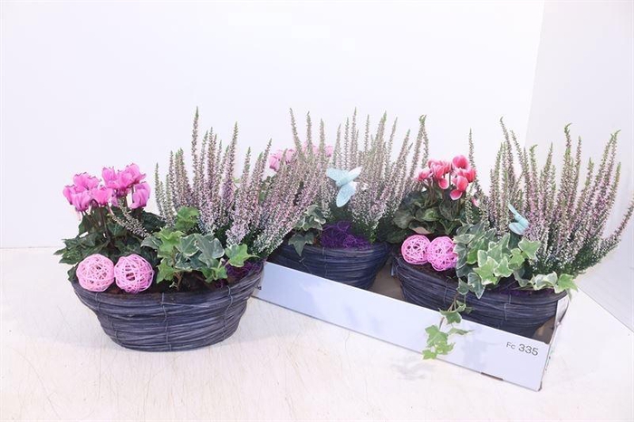 <h4>ARR TUINPLANTEN</h4>