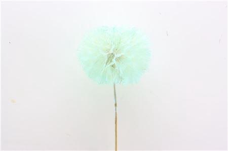 <h4>PRES PUSTE FLOWER EMERALD</h4>