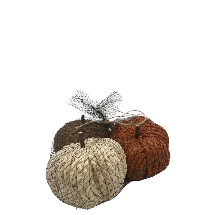 <h4>Autumn Pumpkin d13cm x3</h4>