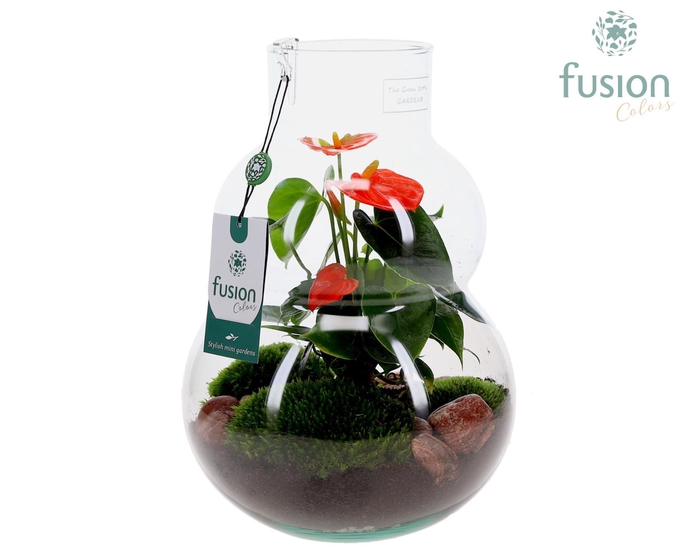 <h4>Green Bottle Olaf Medium met Anthurium</h4>