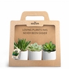 3-Pack Nordic White P7
