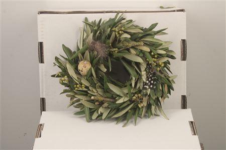 <h4>Wreath Olive Spring 15cm</h4>