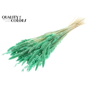 Dried Flower Mix bunch Bleached Frosted Mint