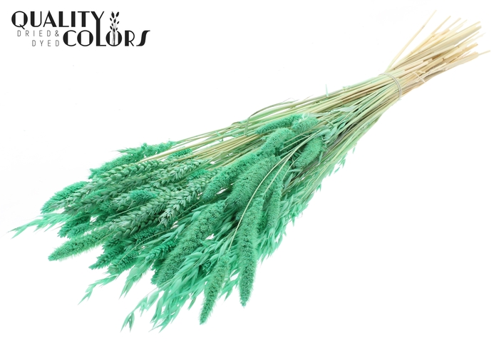 <h4>Dried Flower Mix bunch Bleached Frosted Mint</h4>