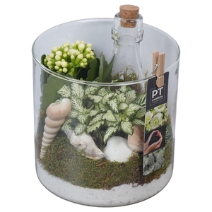 Arr. Planten L%
