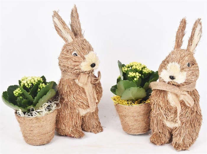 <h4>Stro konijn 19x10cm</h4>