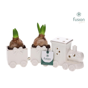 Keramiek Trein Medium met Hyacinten