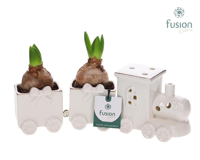 <h4>Keramiek Trein Medium met Hyacinten</h4>