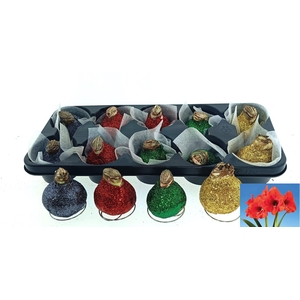 BLOEMBOL HIPPEASTRUM