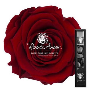 30cm Stem Red01