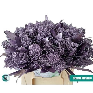 Skim Ov Bs Klb Cerise Metalic