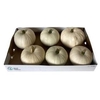 Sier Cuc P Snowball X8