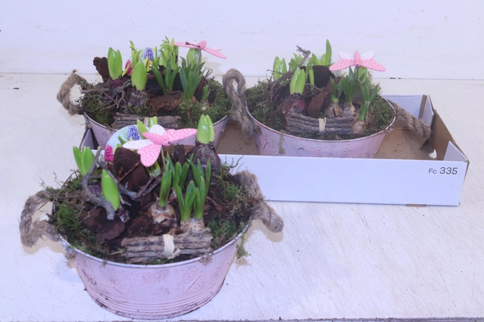 <h4>ARR BOL KNOLGEWAS</h4>