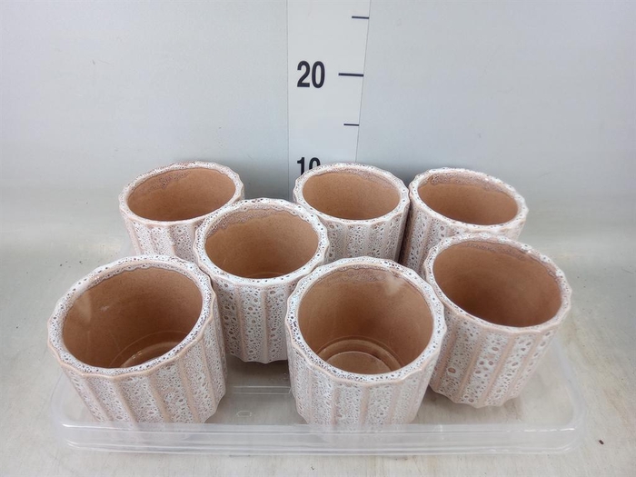 <h4>Pot   ...Keramische H%</h4>