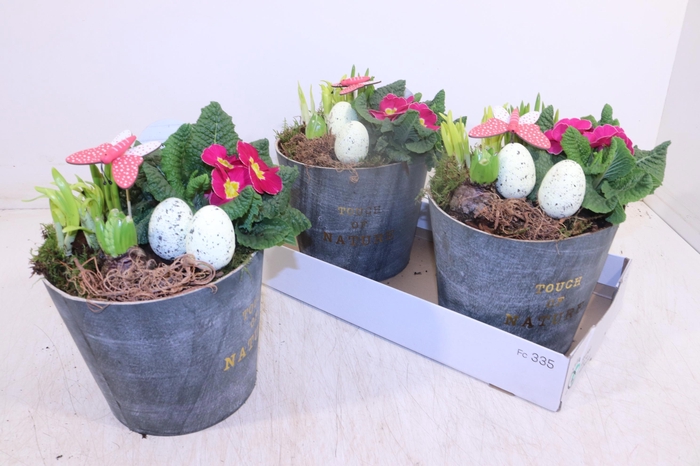 <h4>ARR TUINPLANTEN</h4>