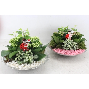 arr2 PL - Glas schaal 27cm - roze/wit