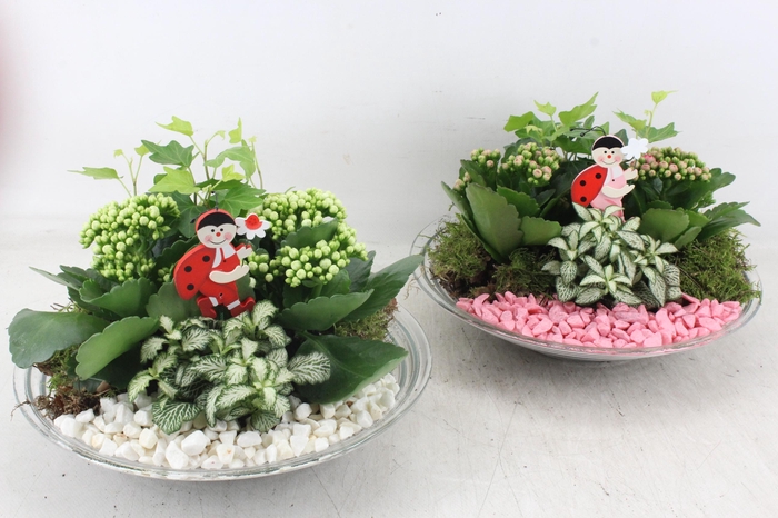 <h4>arr2 PL - Glas schaal 27cm - roze/wit</h4>