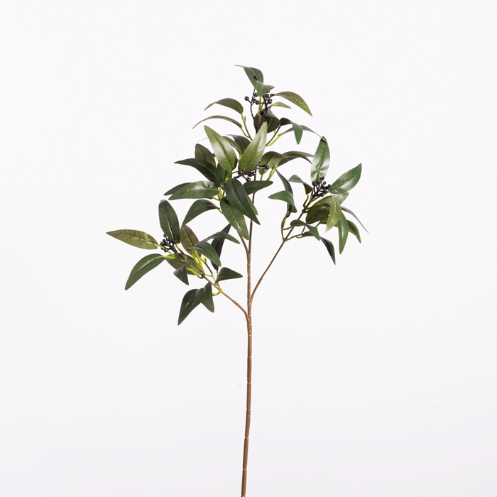 <h4>Af Ruscus Met Bes L57cm Groen</h4>