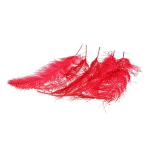 Feather Ostrich 5 Pcs L55