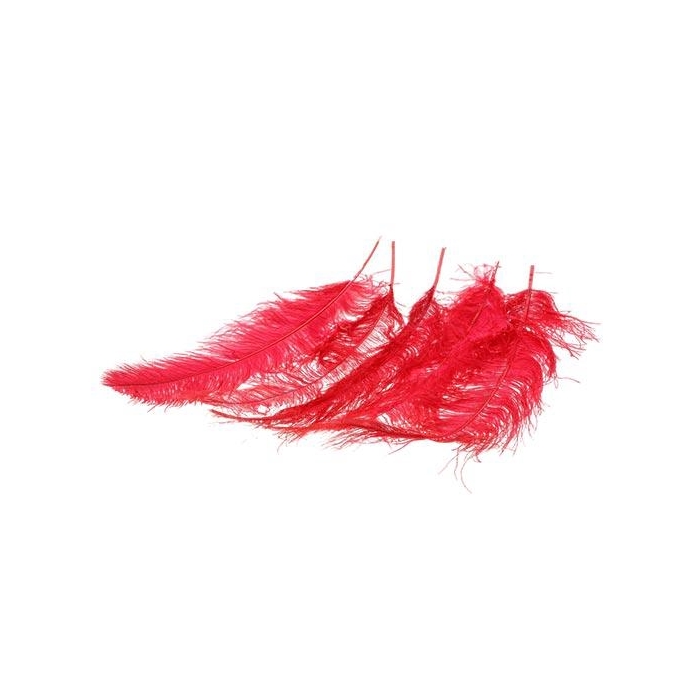 <h4>Feather Ostrich 5 Pcs L55</h4>