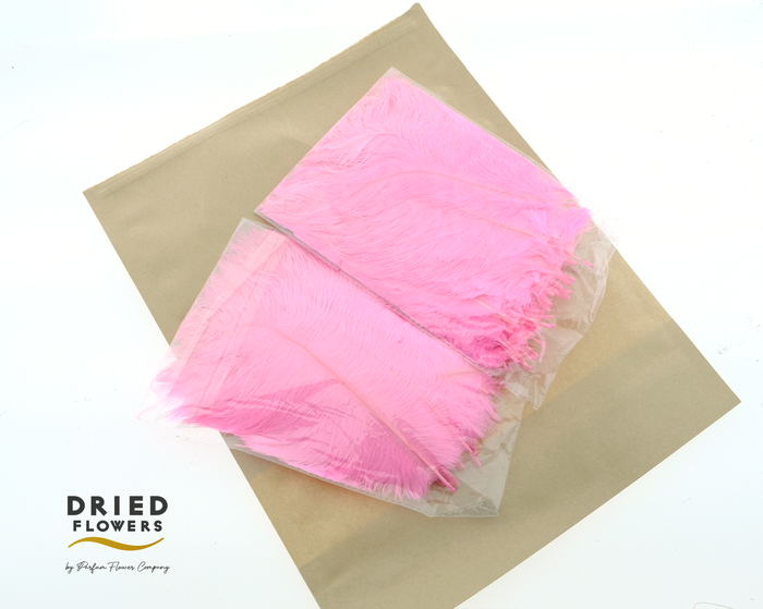 <h4>Dried Ostrich Feather Light Pink Small</h4>