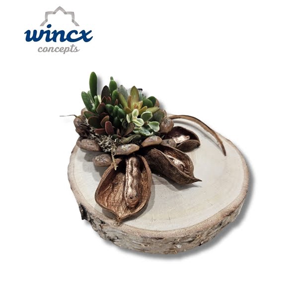 <h4>Concepts® - Pinecone Arrangement (XL)</h4>