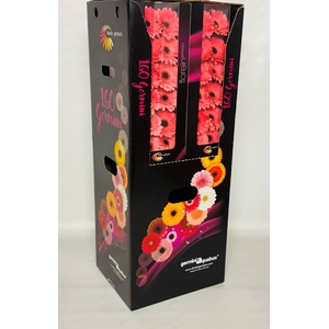 GE MI VIDAL Aquabox - diamond (8 x 15)
