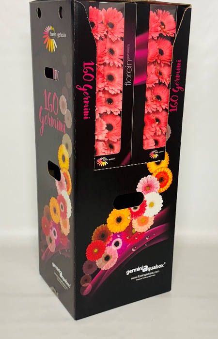 <h4>GE MI VIDAL Aquabox *160</h4>