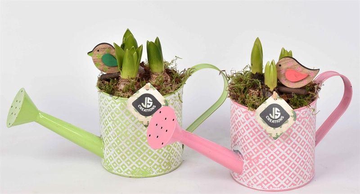 <h4>Zink gieter groen/roze 12cm</h4>