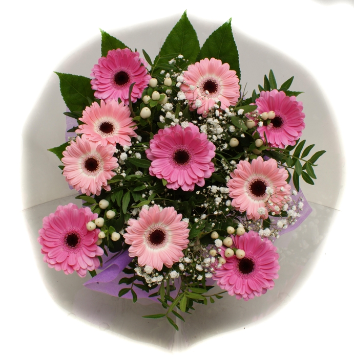 <h4>2025006 Roze</h4>