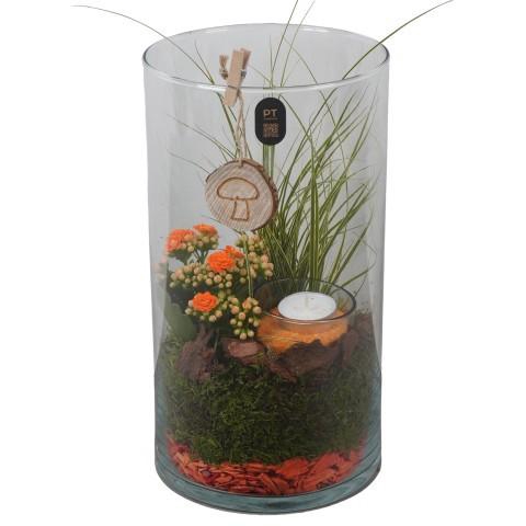 <h4>PTHG8272 Arrangement Autumn Glass in glazen vaas</h4>