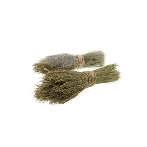 DF Star Grass Bunch 40cm