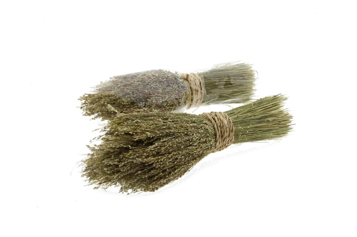 <h4>DF Star Grass Bunch 40cm</h4>