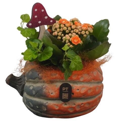 <h4>PTHI3257 Arrangement Autumn Indoor in beton pot</h4>