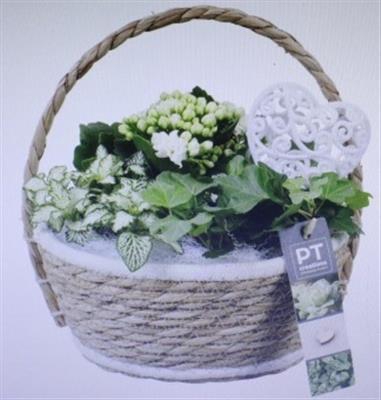 <h4>2339 Wit Hengselmandje</h4>