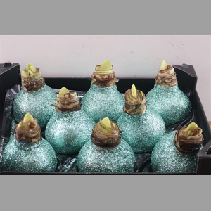 Wax Hipp Topline Gl Pastel Groen