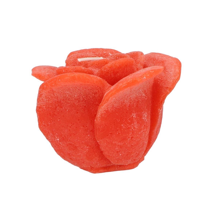 <h4>Candle Roos Orange 11x9cm</h4>