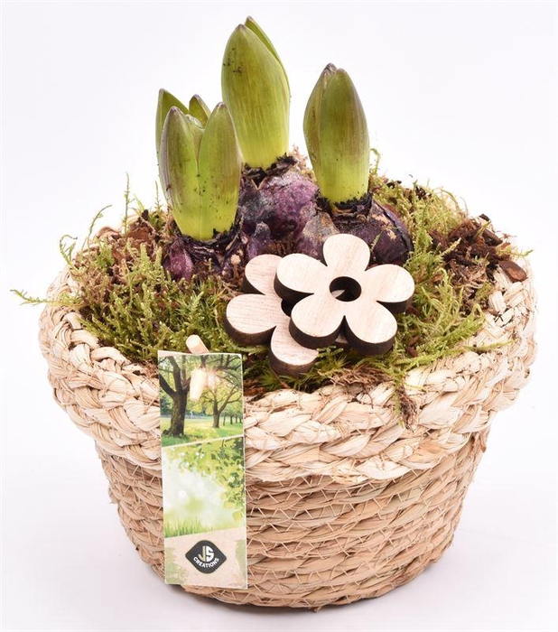 <h4>Jute mand met rand 18cm</h4>