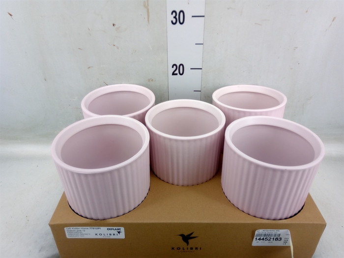 <h4>Pot   ...Keramische H%</h4>